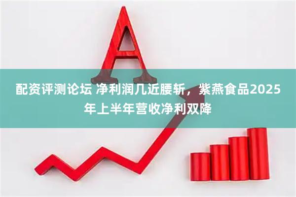 配资评测论坛 净利润几近腰斩，紫燕食品2025年上半年营收净利双降